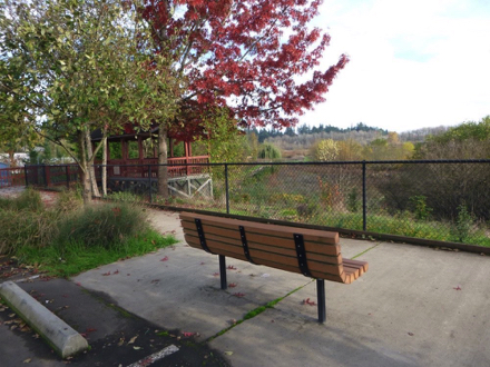 Bench overlooking wetland – north view parking lot – paved surface –  fence – shelter